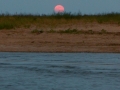moonriseoversouthbowers