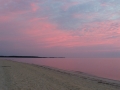 pinkdelawarebay
