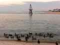 rangelightnducksatsunset